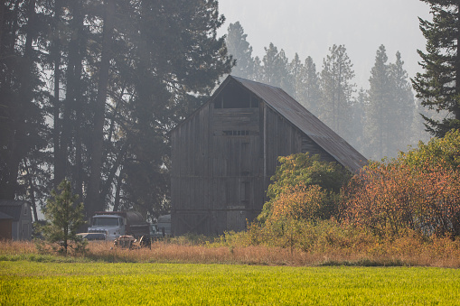 Plain WA USA Sept 14 2023: Old Log Barn in background is haze from a nearby forest fire