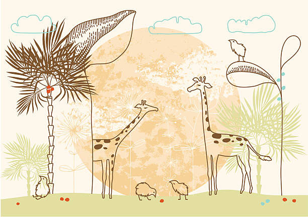 African Giraffes at Sunset vector art illustration