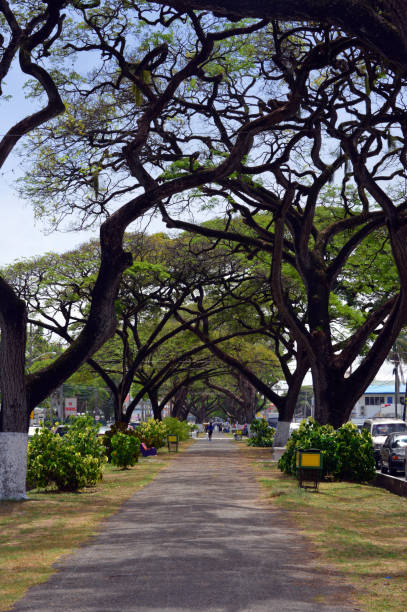istock Main Street - pleasant promenade, Georgetown, Guyana 1762170676