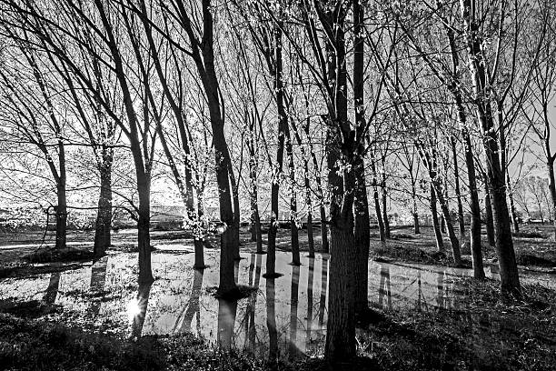 Beautiful black and white ray of light stock photo