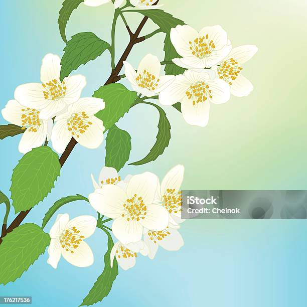 Vektorgrußkarte Mit Kirschblüte Stock Vektor Art und mehr Bilder von Baum - Baum, Baumblüte, Bildhintergrund