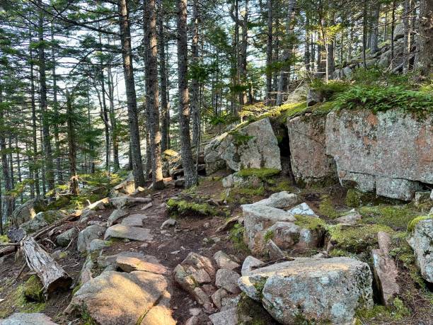 istock Flying Mountain Trail, Acadia National Park 1762179007