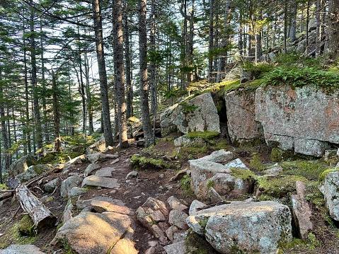 Flying Mountain Trail, Acadia National Park