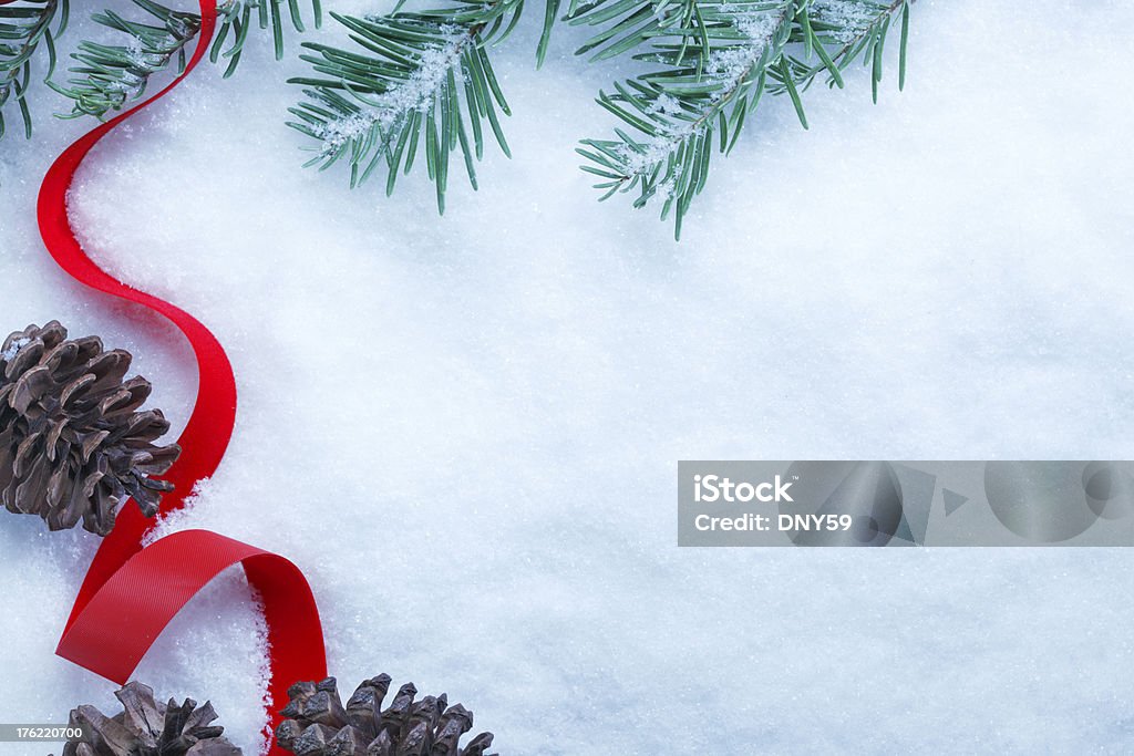 Weihnachten schneebedeckter Zweige - Lizenzfrei Ast - Pflanzenbestandteil Stock-Foto