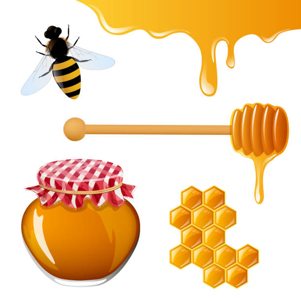 ilustraciones, imágenes clip art, dibujos animados e iconos de stock de vector de elementos de miel - honey hexagon honeycomb spring