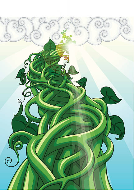 Beanstalk vector art illustration