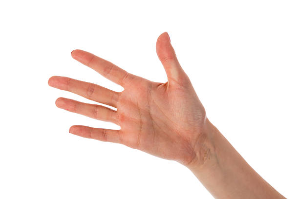 istock Female hand showing five fingers isolated on white background 176224157