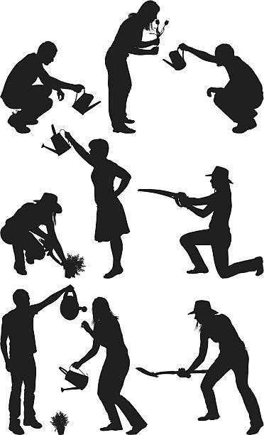 Silhouette of people gardening Silhouette of people gardeninghttp://www.twodozendesign.info/i/1.png gardening silhouettes stock illustrations