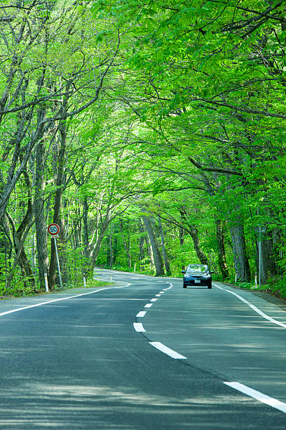 istock Driving a winding road in the forest 176224796
