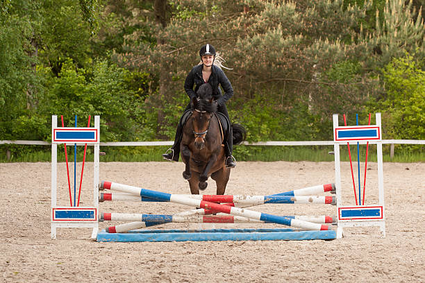 Garota é mostrar saltar com seu cavalo - foto de acervo
