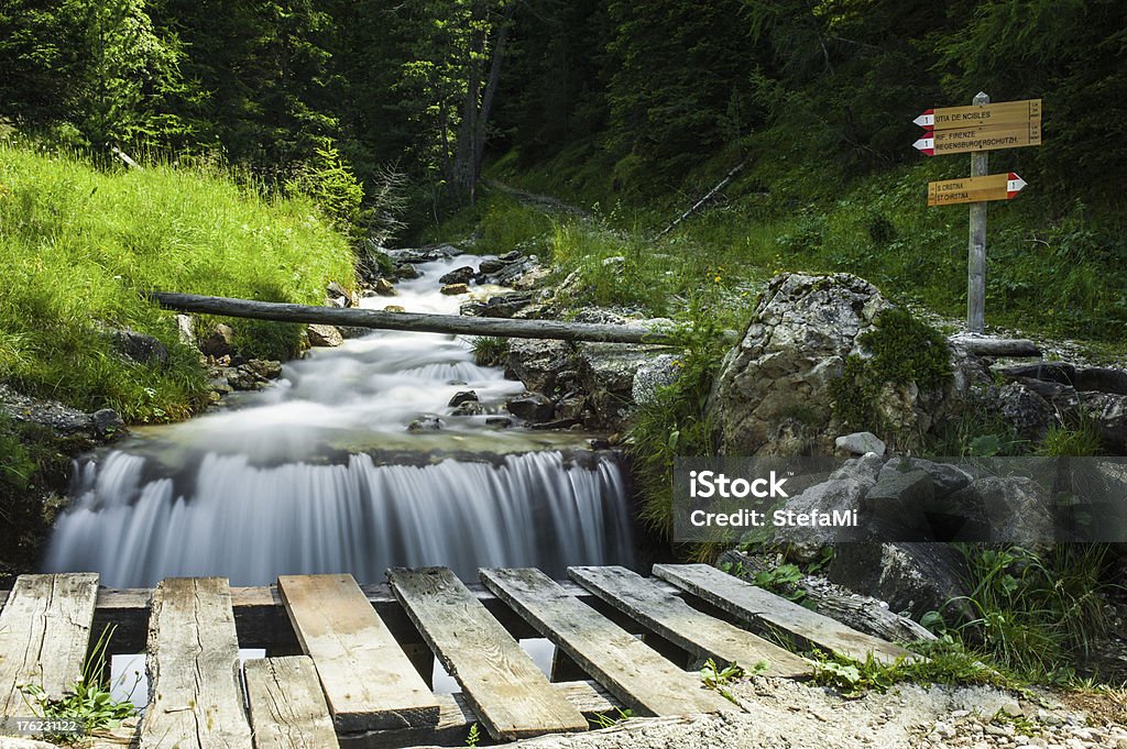 Mountain Creek e sentieri nella foresta di Puez-Odle Park - Foto stock royalty-free di Acqua