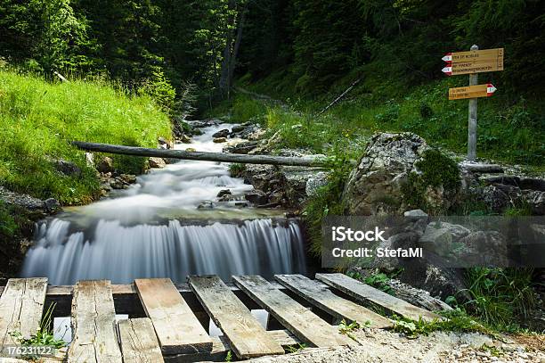 Foto de Mountain Creek E Trilhas Na Floresta De Puezodle Park e mais fotos de stock de Alpes europeus