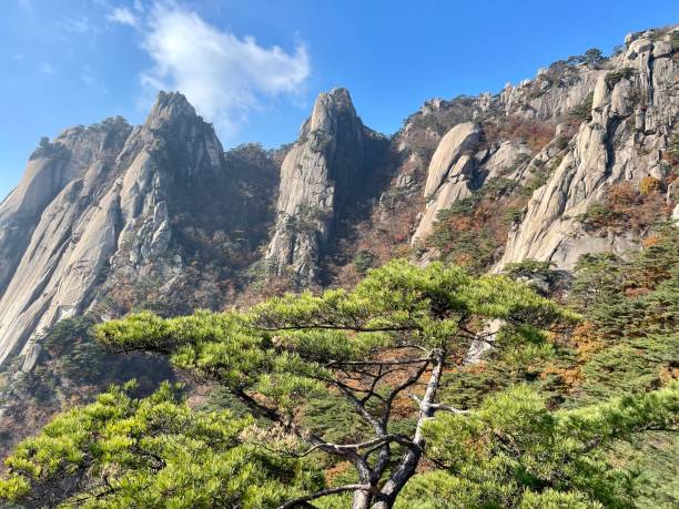 istock Fall Colors of Seoul Mountains 1762311879