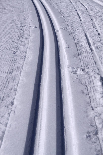 istock Cross-country ski run 176231285