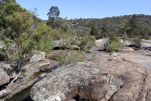 Landscape view of boulders and trees at Girraween National Park in Queensland, Australia