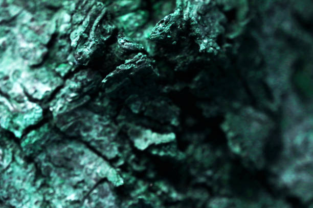 istock Tree bark retouch image inspired by the cold, dark glacier-colored rock surface of a cave. 1762347055