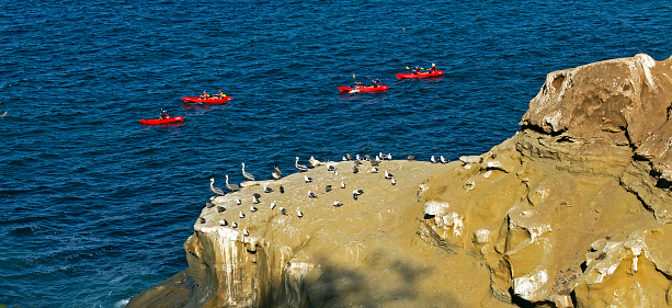 La Jolla is located 12 miles north of downtown San Diego.