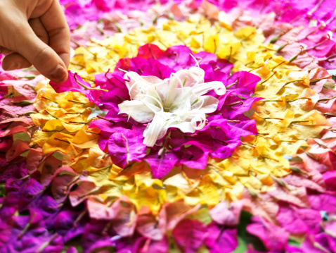 a traditional floral carpet called pookkalam made with colorful flower petals on the floor for celebrating the indian festival called onam
