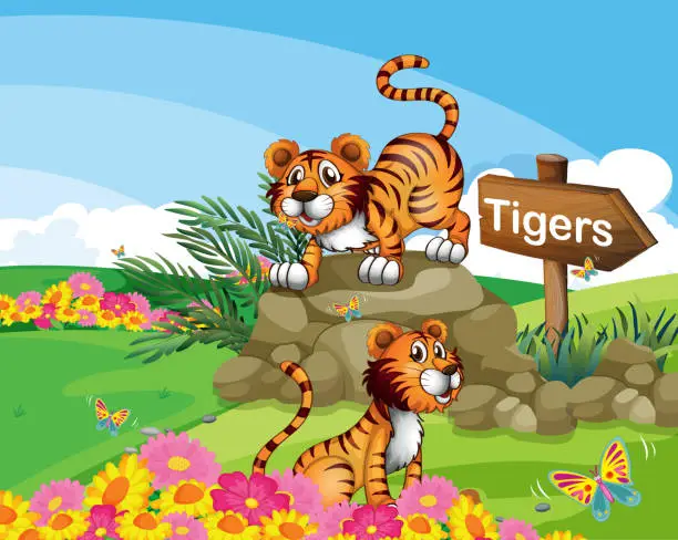 Vector illustration of Two tigers beside a signboard