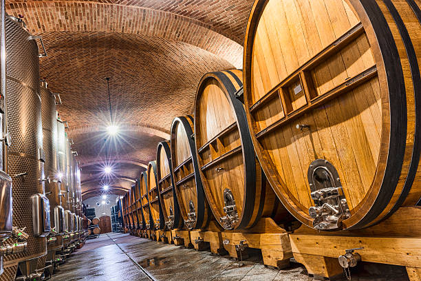 bodega - winery wine cellar barrel fotografías e imágenes de stock