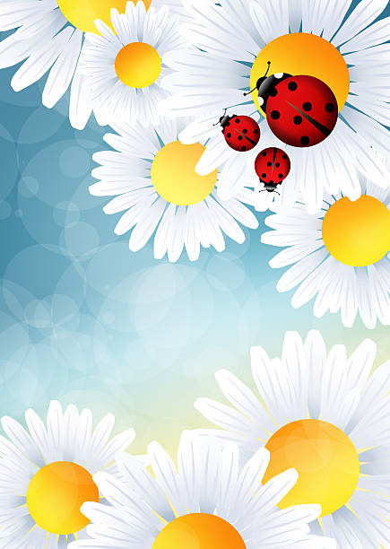 ladybugs on flowers illustration of ladybugs on flowers ladybug frame border clip art stock illustrations