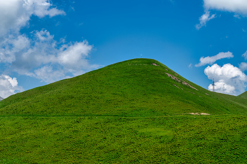 Hills with Wildflowers at Carrizo Plain National Monument in San Luis Obispo County, California.