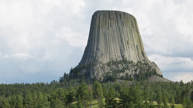 Iconic Devils Tower Rising above the Forest