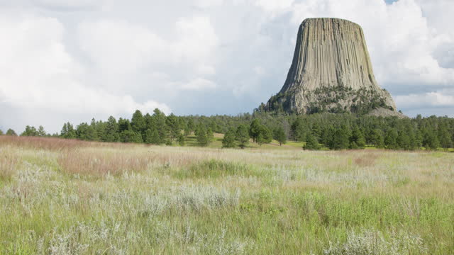 Meadow and Devils Tower, WY