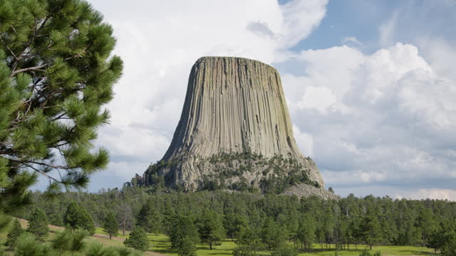 Scenic Shot of Devils Tower, WY with Trees