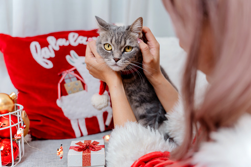 Christmas party at home on winter holiday. Woman wearing Santa together with dress up cat.