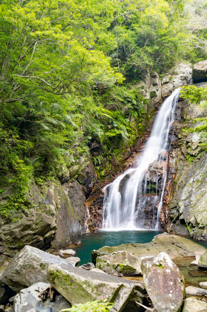 istock Hiji Waterfall in Okinawa 1762483972