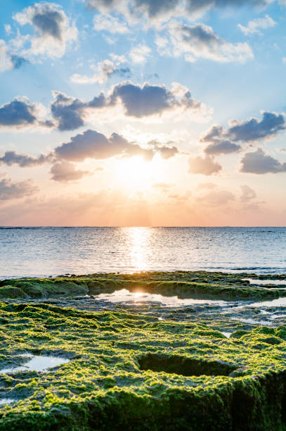 View of Okinawa, Japan