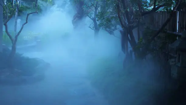Photo of Image of mist covering a Japanese style garden