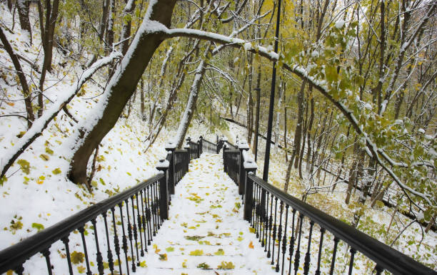 Sunlit pathway amidst autumn leaves and snow-covered trees.