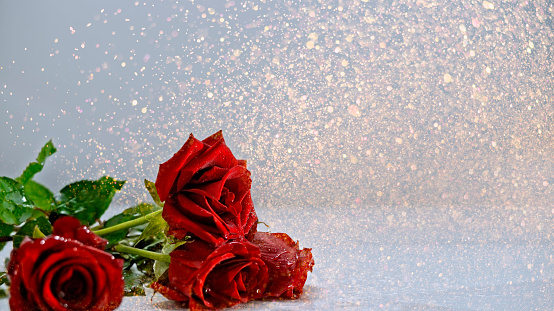 Close-up of red rose flowers with water splashing on floor.
