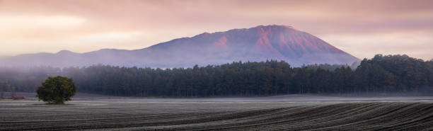 Lonely tractor working on a field in winter, forming a cloud of dust.