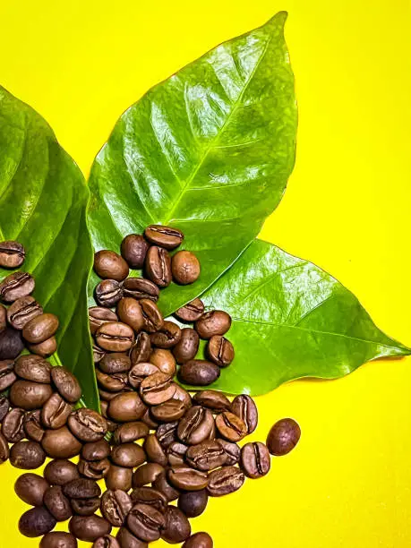 Group of Roasted Coffeebean and green leaves put on yellow background