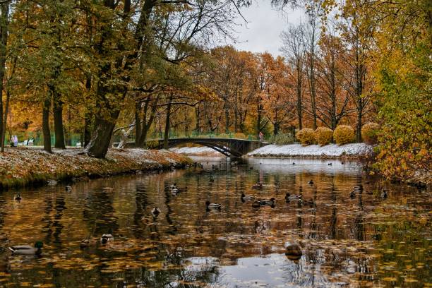 istock Autumn in the park 1762839392