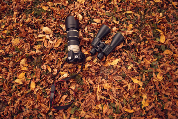 istock Binoculars and camera for bird and animal watching in nature. 1762845843