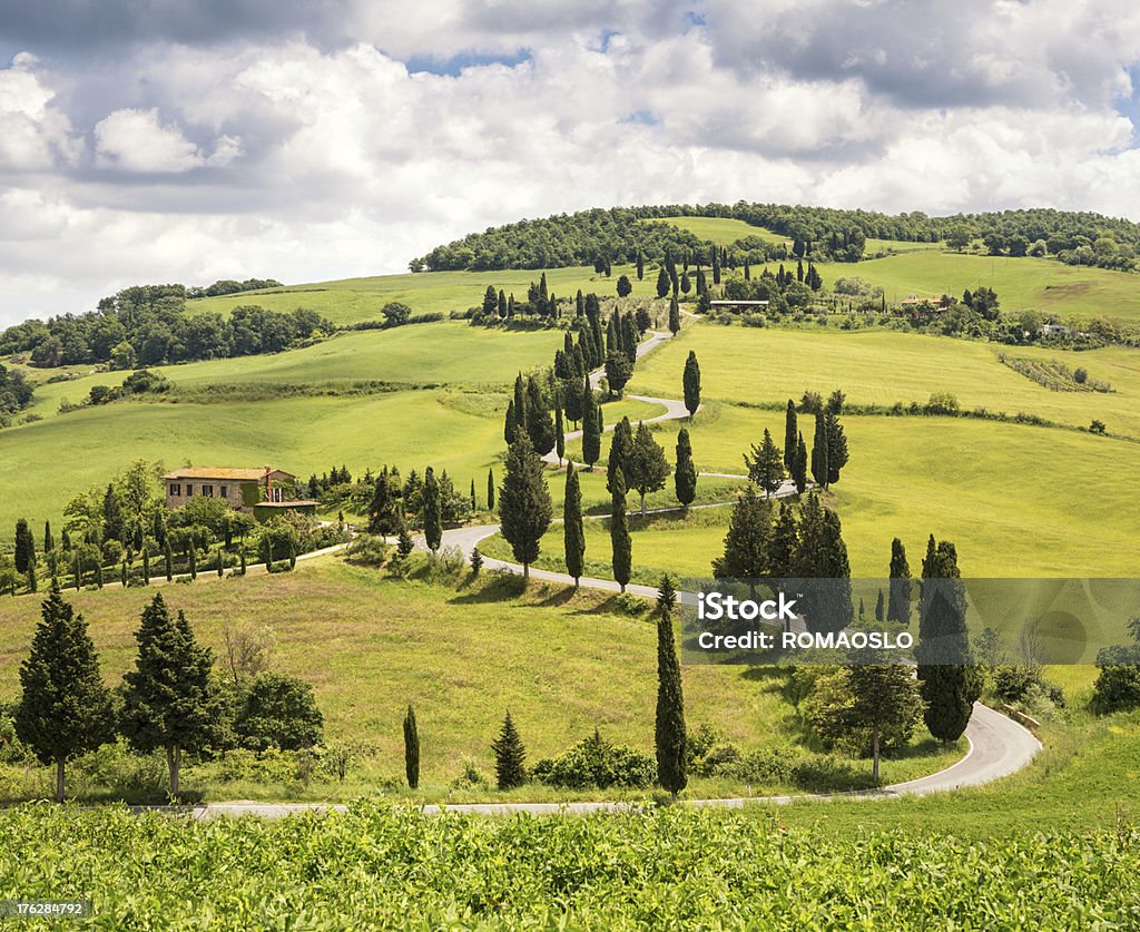 Tortuosa strada Cypress foderato in Monticchiello Val d'Orcia, Toscana, Italia - Foto stock royalty-free di Ambientazione esterna