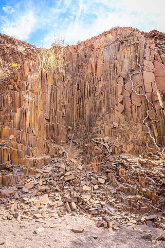 Basalt, volcanic rocks known as the Organ Pipes, Twyfelfontein in Damaraland, Namibia.  Vertical.