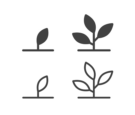 Plants - Illustration Icons