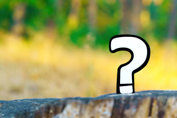 istock Black and White Question Mark Figurine in the Forest 1762872523