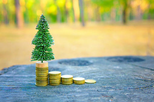 Coin Stacks with a miniature Christmas tree on top placed on a tree stump in the forest.