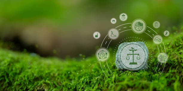 istock International environmental law concept. Climate or environmental justice. Environmental regulations for sustainable business corporate and industry. International law for environmental protection. 1762873089