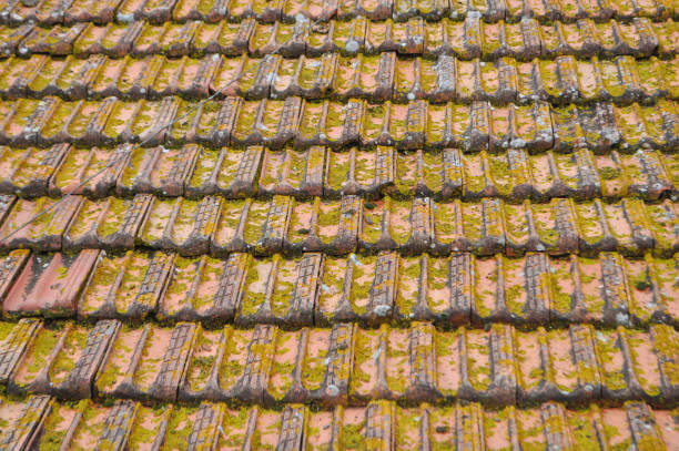 istock weathered roof tiles texture background 1762877928