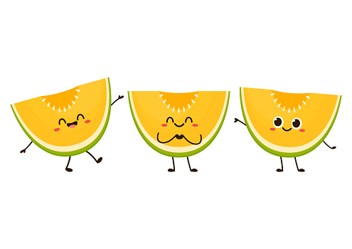 Melon character design. melon on white background. Melon cartoon.