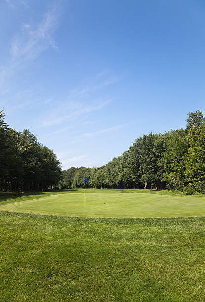 istock Blue flag on the golf green hole further back vertical 176295716