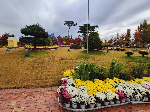 Scenery of the Chrysanthemum Festival at Yurim Park, Yuseong-gu, Daejeon.