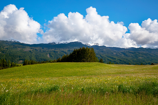 Plateau of Lessinia, Regional Natural Park of Lessinia, Veneto, Verona, Italy.